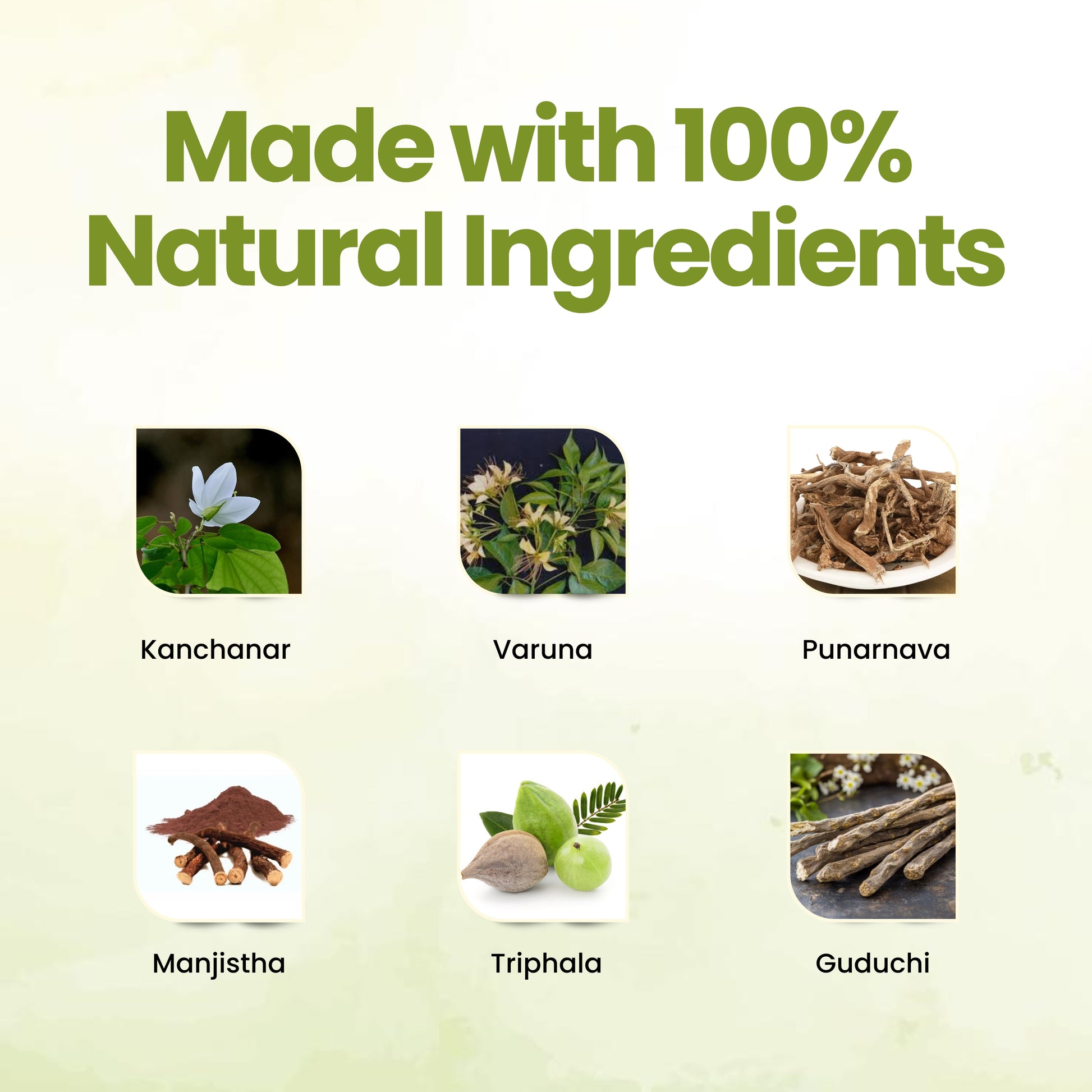 Lebaka Wellness Re-Life