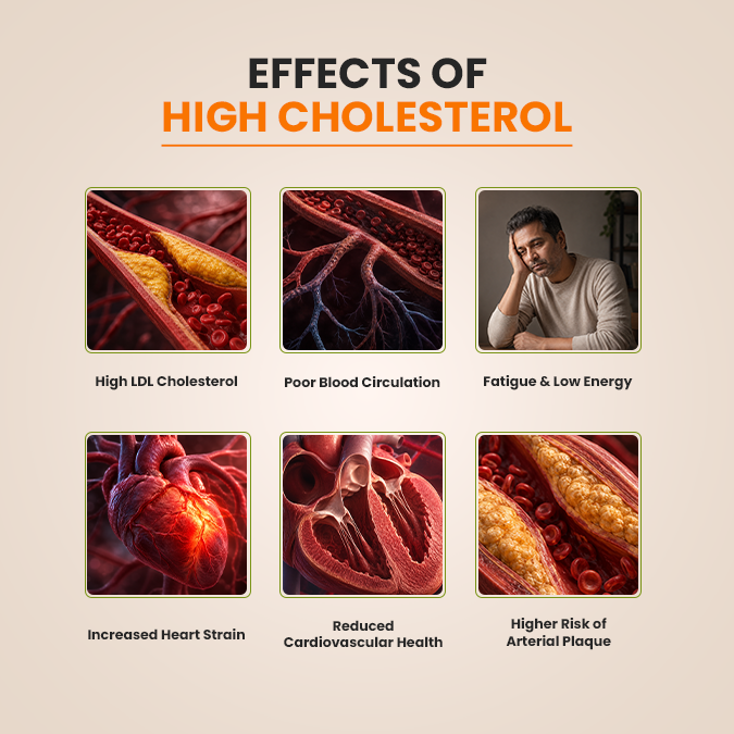 Cholestro Care | Ayurvedic Cholesterol Support
