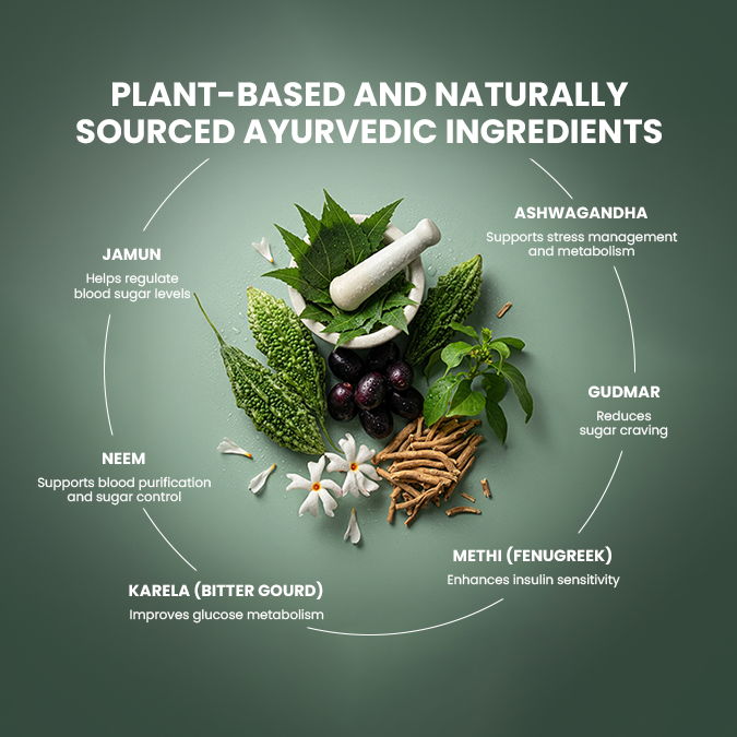 Dia Cure | Ayurvedic Blood Sugar Support