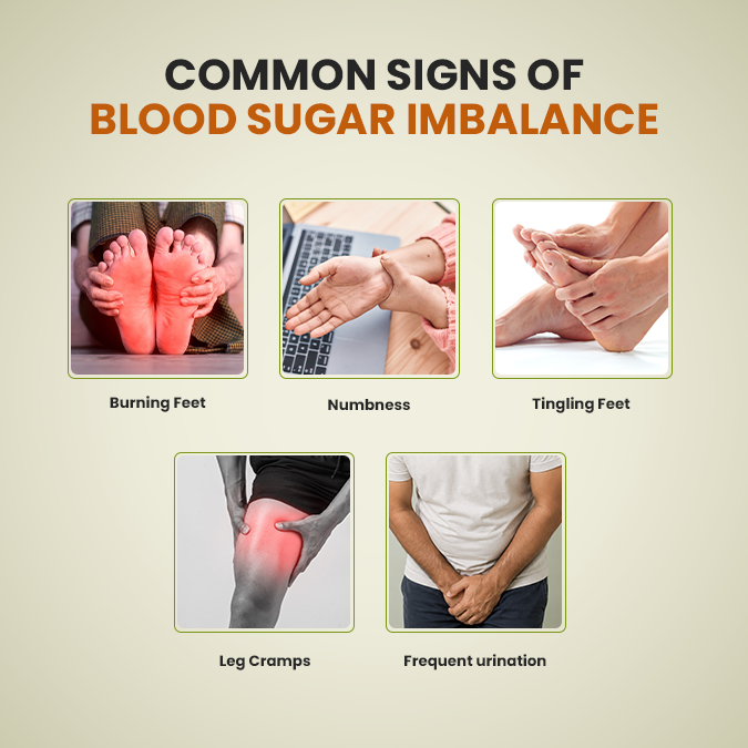 Lebaka Wellness Dia Reversal Churnam