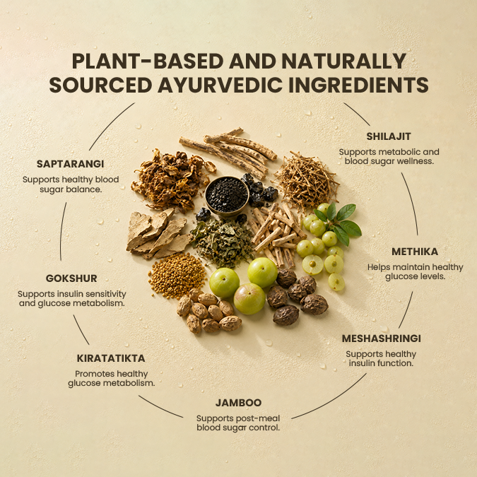 Dia Reversal | Ayurvedic Blood Sugar Support