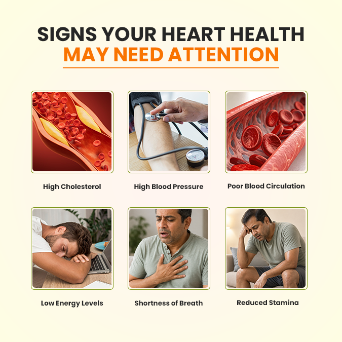 Heart Care | Ayurvedic Cardiovascular Support