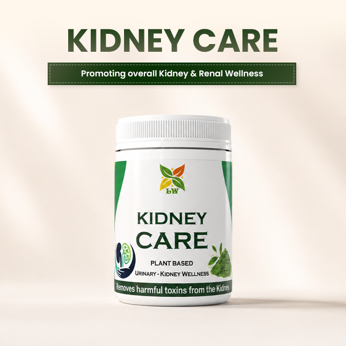 Kidney Care | Ayurvedic Kidney Support