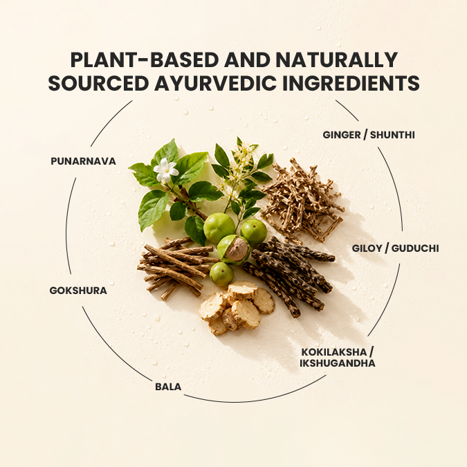 Kidney Care | Ayurvedic Kidney Support