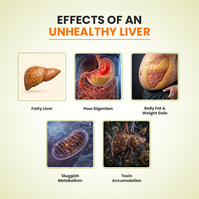 Liver Care | Ayurvedic Liver Support