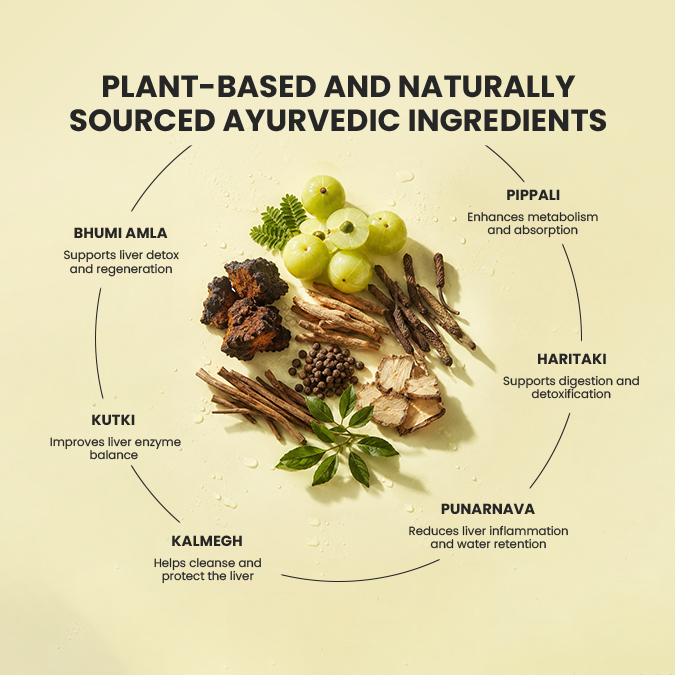 Liver Care | Ayurvedic Liver Support