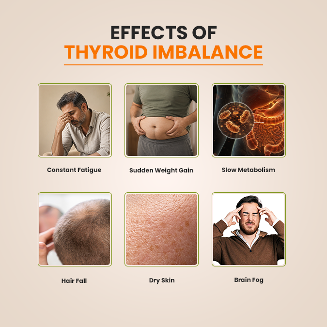Thyro+ – Natural Thyroid Support | Plant-Based Dietary Supplemen